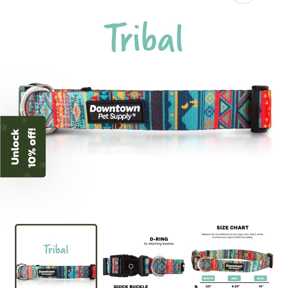 Downtown Pet Supply Tribal Dog Collar and Matching Leash